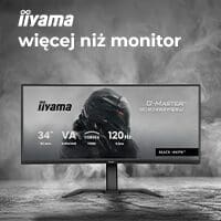 monitory iiyama- porównanie i premiera