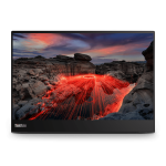 Monitor przenośny Lenovo ThinkVision M14t 63FDUAT6WL 14" 2240x1400